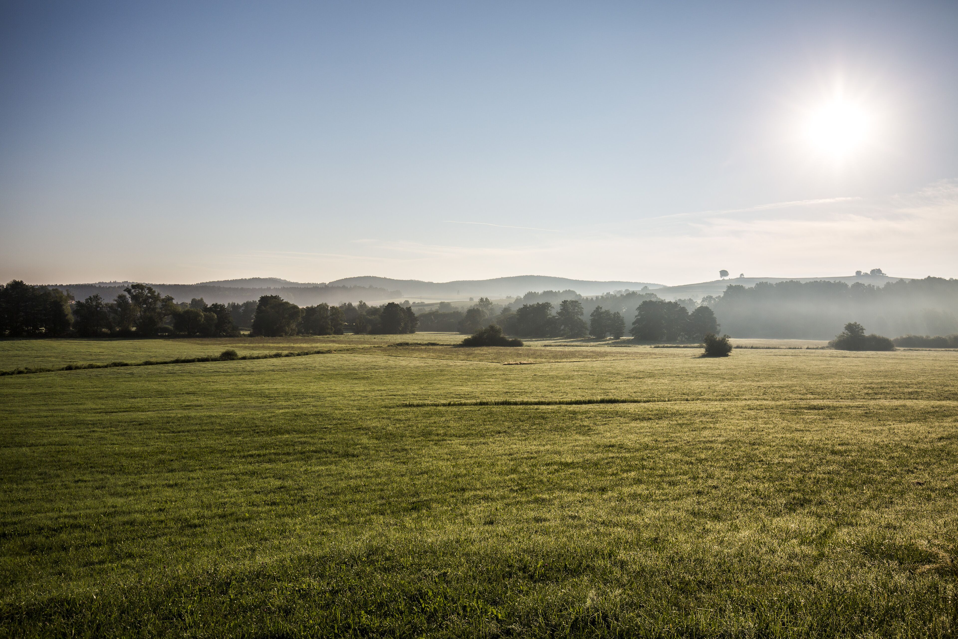 A vast, open field with distant hills and a clear sky.
