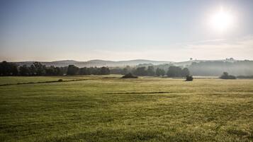 A vast, open field with distant hills and a clear sky.