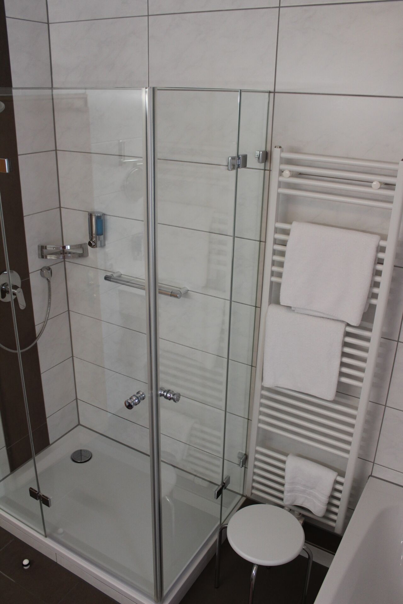 Et moderne badeværelse med en brusekabine i glas, et hvidt toilet og en håndklædestang.