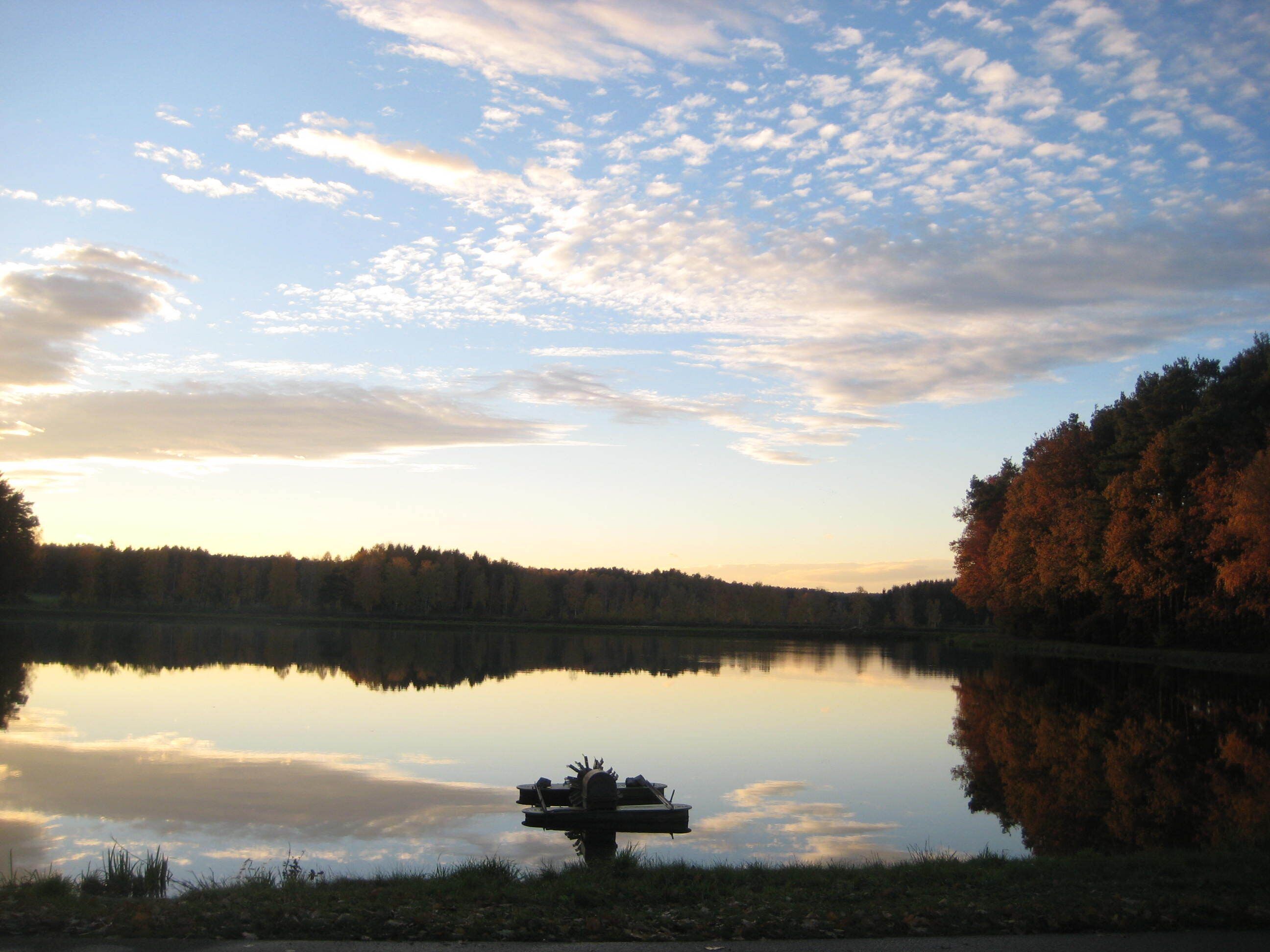 Un lac paisible, avec un quai et des arbres en arrière-plan.
