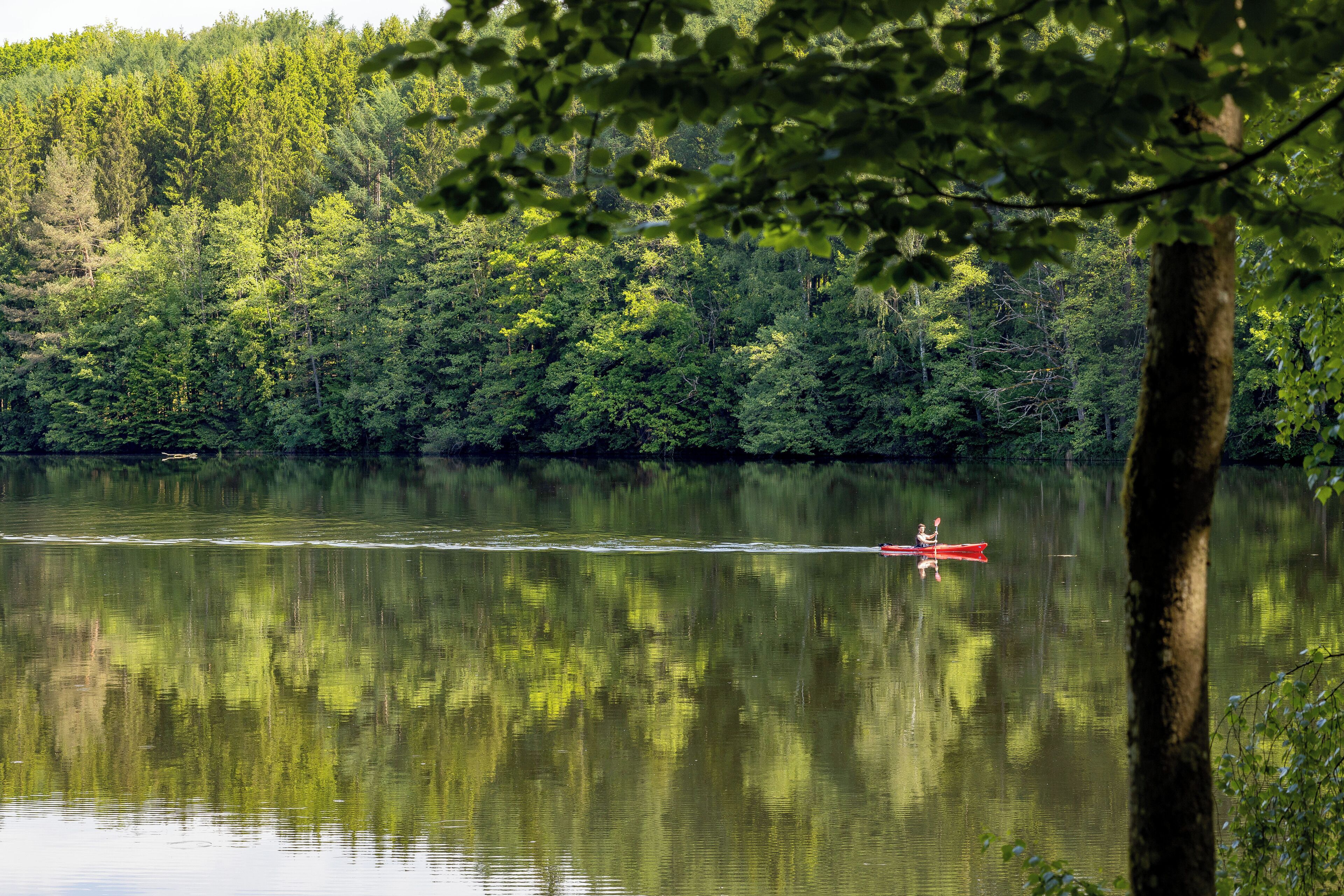 A calm lake with dense forest on the shore.