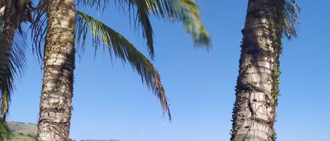 Plage à proximité, 5 bars de plage