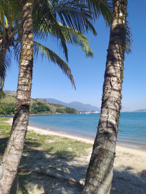 鄰近海灘、5 間海灘酒吧