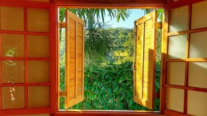 Una stanza con una finestra dotata di persiane in legno, vista sul verde all'esterno e un condizionatore sopra la finestra.