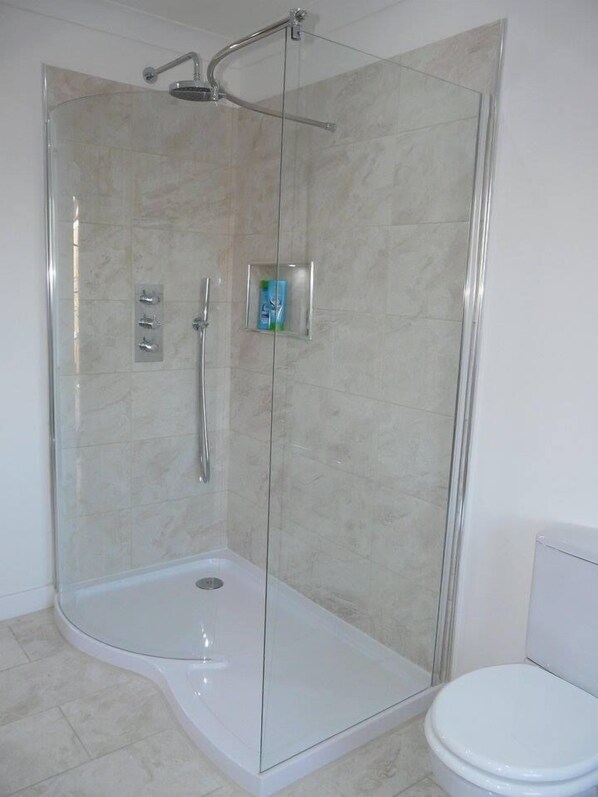 A glass-enclosed shower stall with a white toilet beside it. - Langley Cottage (Wick)