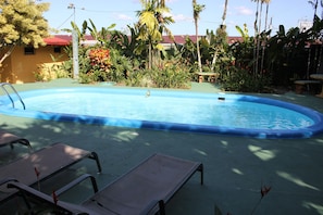 Una piscina con sillones de descanso y plantas tropicales.