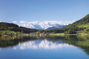 View from property - Hotel Restaurant Eierhals Am Vngerisee (Oberaegeri)