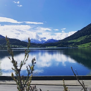 View from property - Hotel Restaurant Eierhals Am Vngerisee (Oberaegeri)