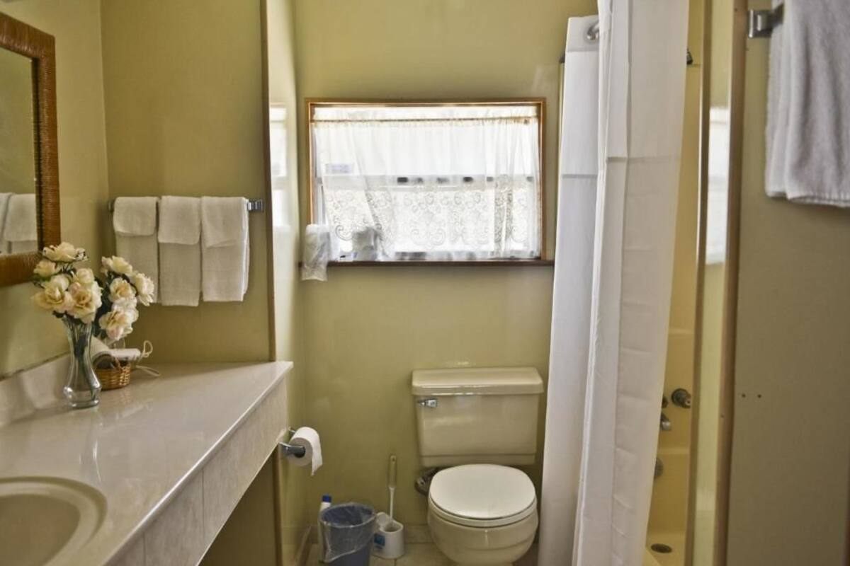 A compact bathroom with a toilet, a sink, a mirror, and a window with a curtain.