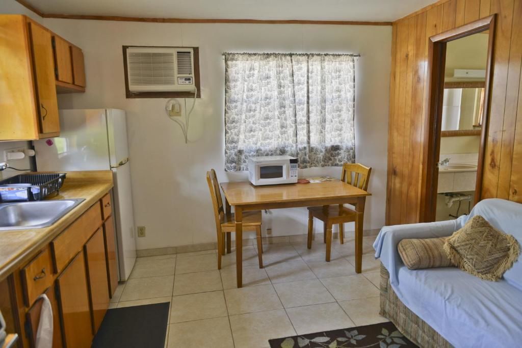 Une cuisine de taille réduite comprenant une table à manger, des chaises, un four à micro-ondes et un évier.