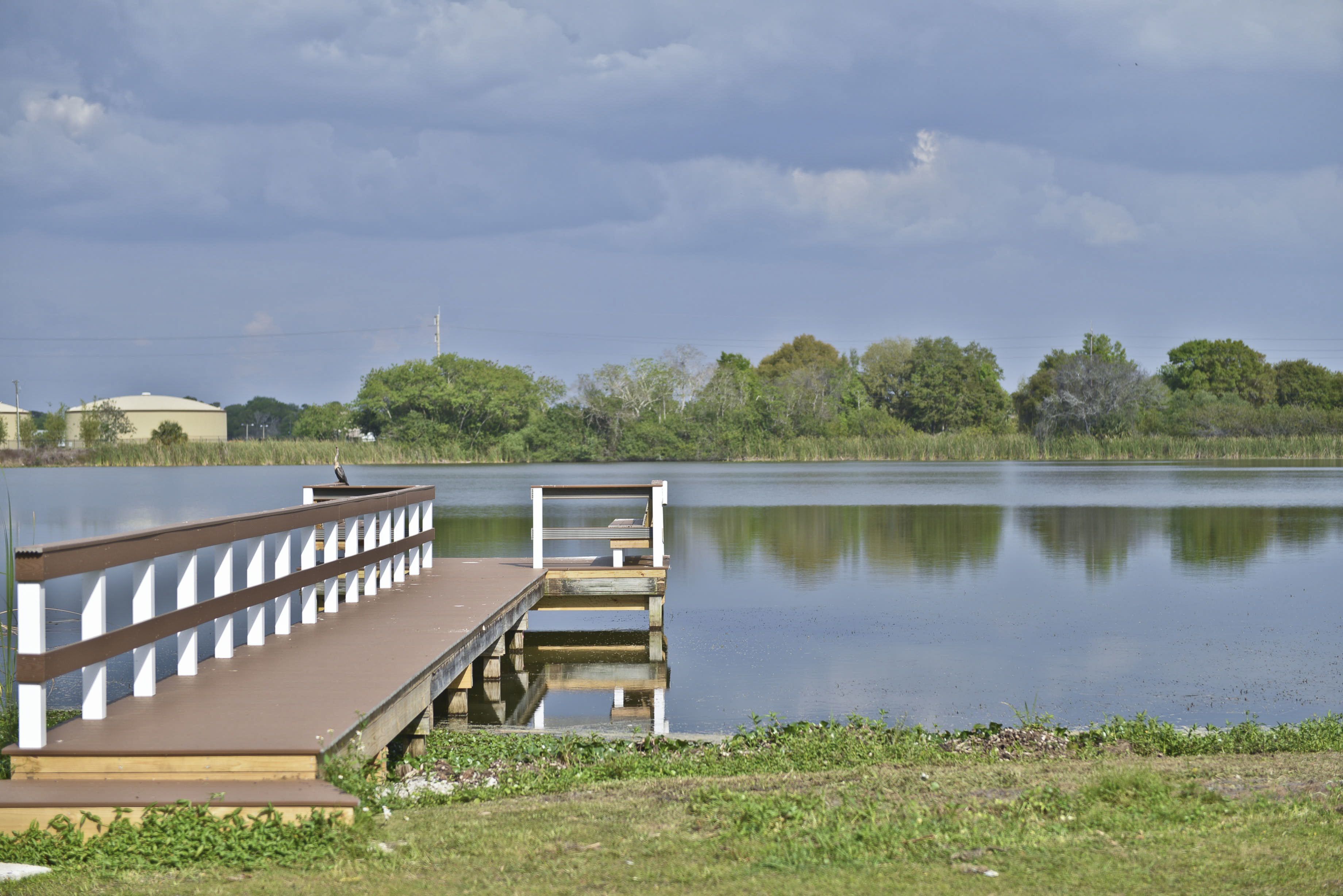 A calm lake with a wooden dock extending into the water.