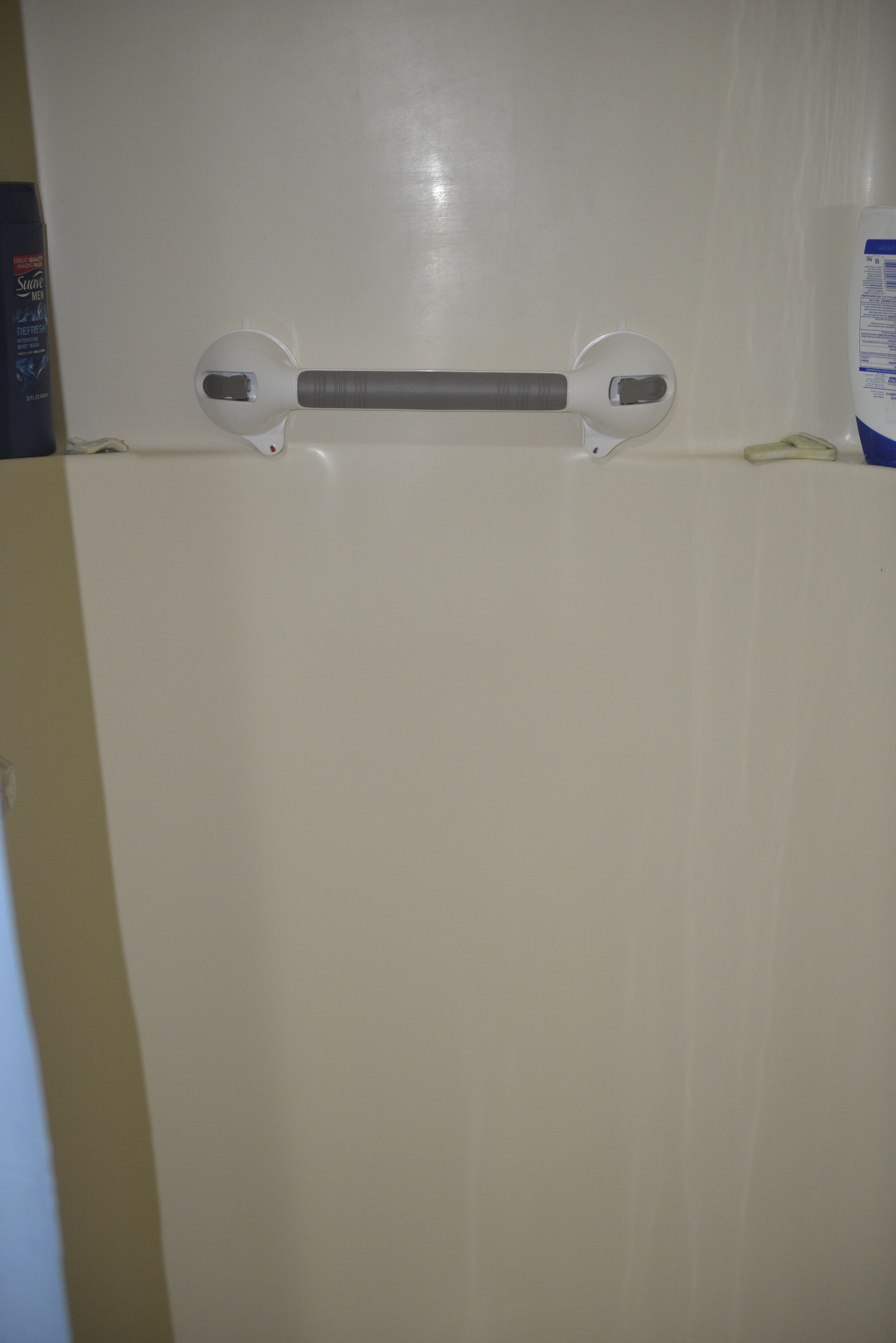 A bathroom with a white door, a towel rack, and a bottle of hand soap on the wall.