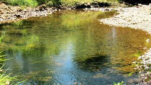 Un río tranquilo y claro, rodeado de rocas y vegetación.