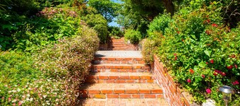 The Ocean Breeze Suites