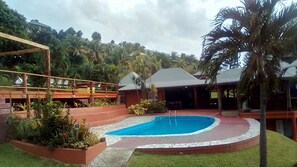 A swimming pool with a tiled deck, surrounded by a landscaped garden with various plants and a palm tree.