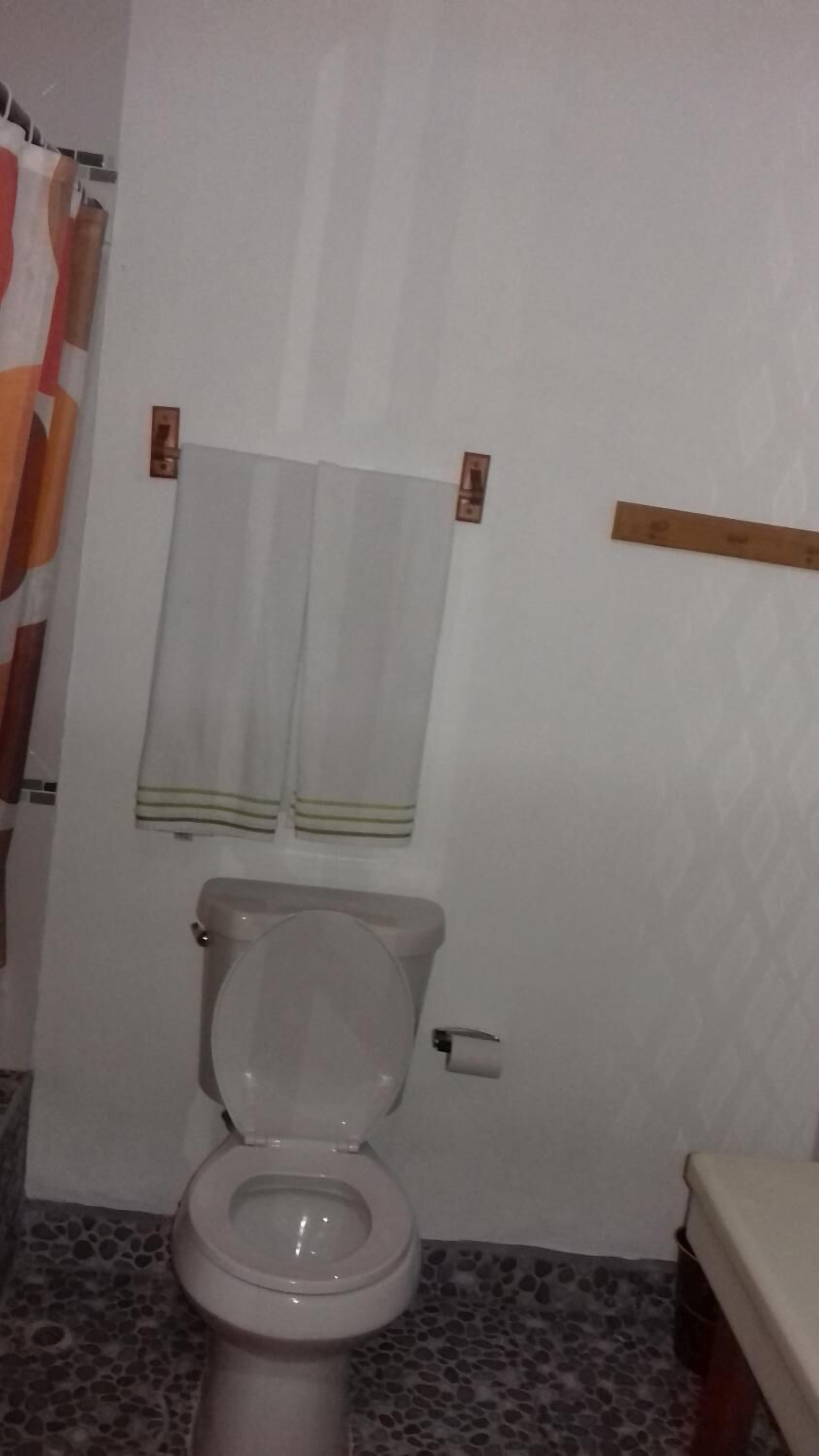 A bathroom with a toilet, a shower curtain, and a towel rack.
