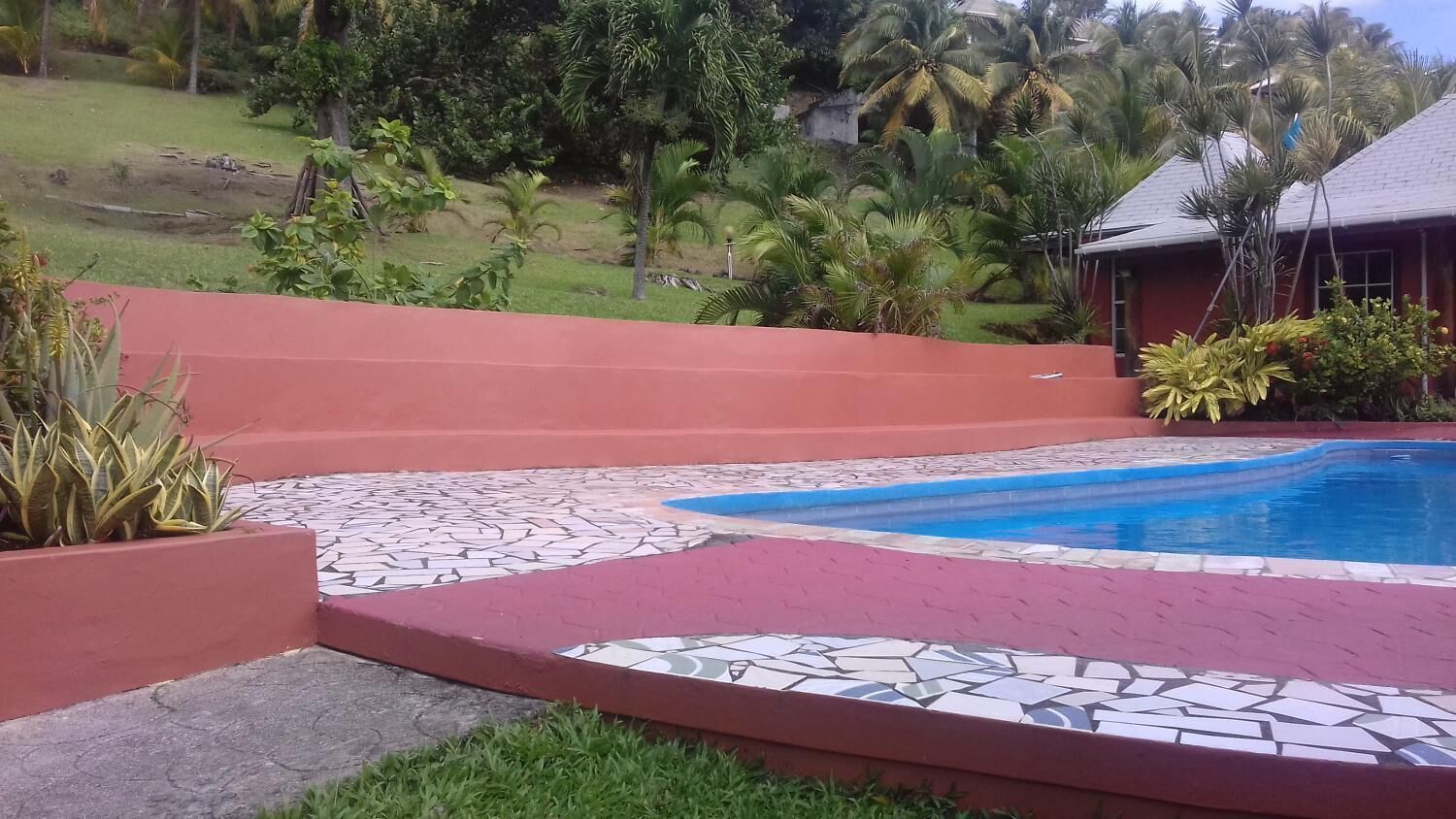 A swimming pool with a tiled deck, surrounded by a red wall and palm trees.