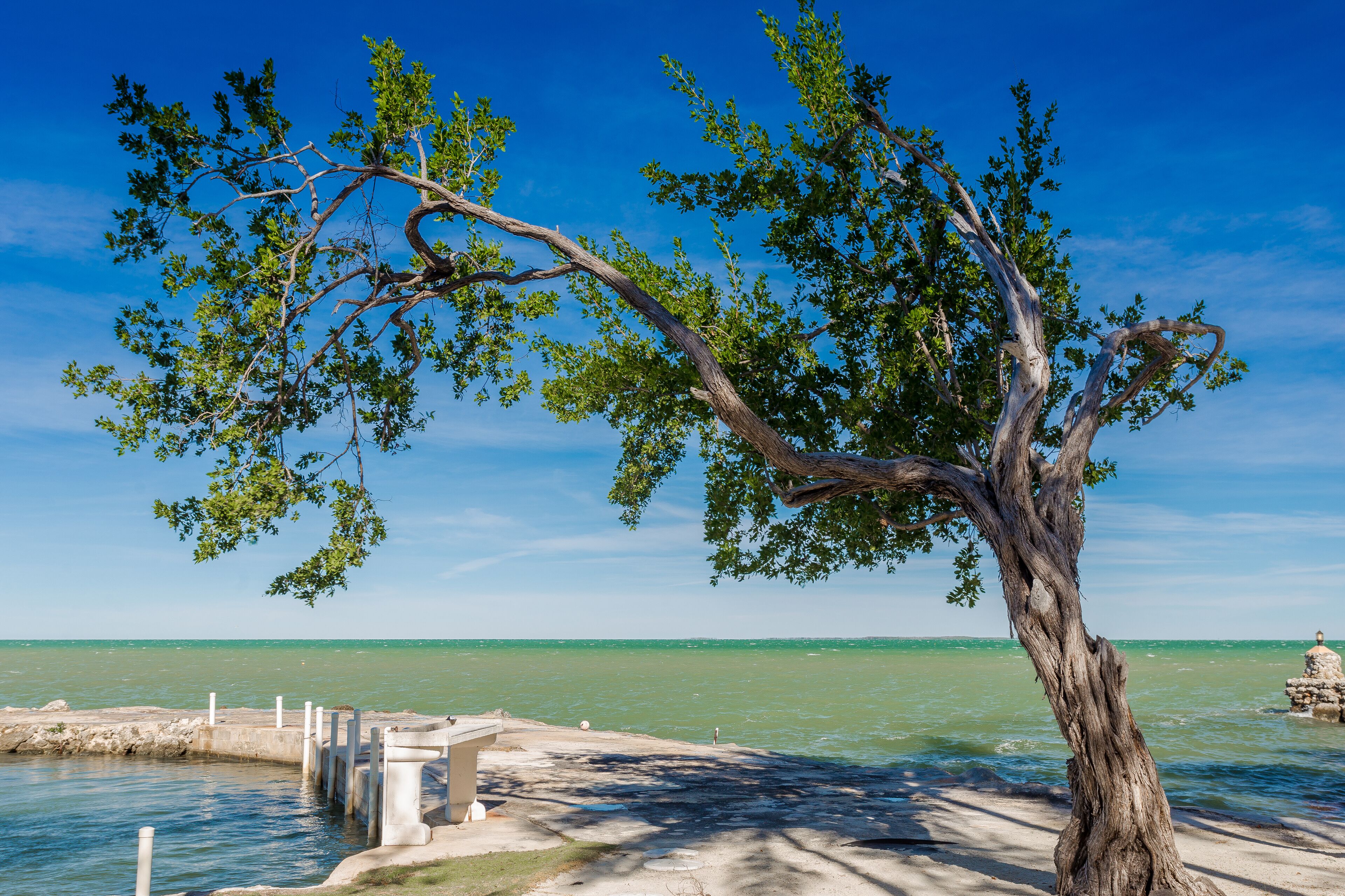 A tree-lined beach with a concrete walkway and a stone structure in the water.