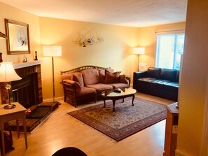 TV, DVD player, books, video library