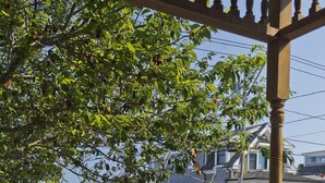 Uma área de estar coberta ao ar livre, com uma cadeira de vime e uma mesa pequena, rodeada por vegetação exuberante e vista para edifícios residenciais.
