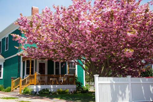 Enjoy any time of year- at East End Captains Home, Provincetown