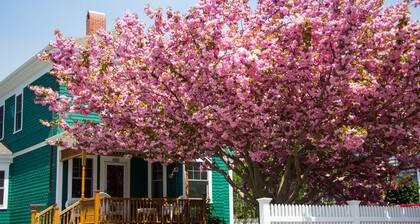 Enjoy any time of year- at East End Captains Home, Provincetown
