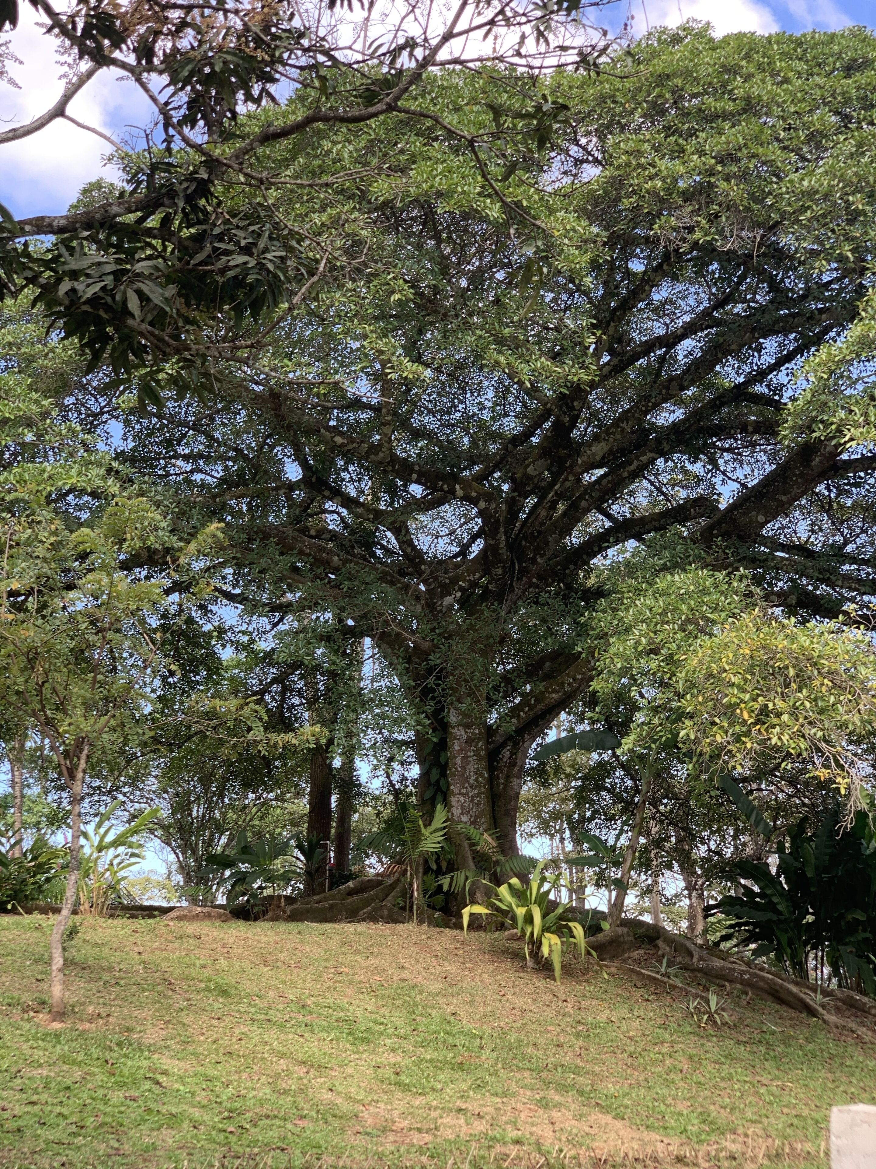 Parco della struttura