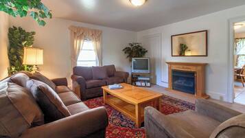 Televisor intel·ligent, llar de foc, reproductor de DVD i llibres