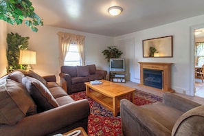 Smart TV, fireplace, DVD player, books
