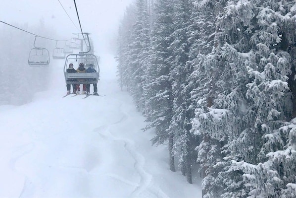 Snø- og skisport
