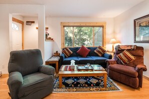 Smart TV, fireplace, books