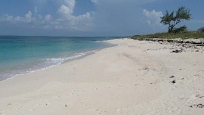 A beach with clear blue water, sandy shore, and sparse vegetation. - Condo w/Views, Beach, Htd Pool, Pickleball, Golf Cart,Gym, Walk to Restaurant (Governors Harbour)
