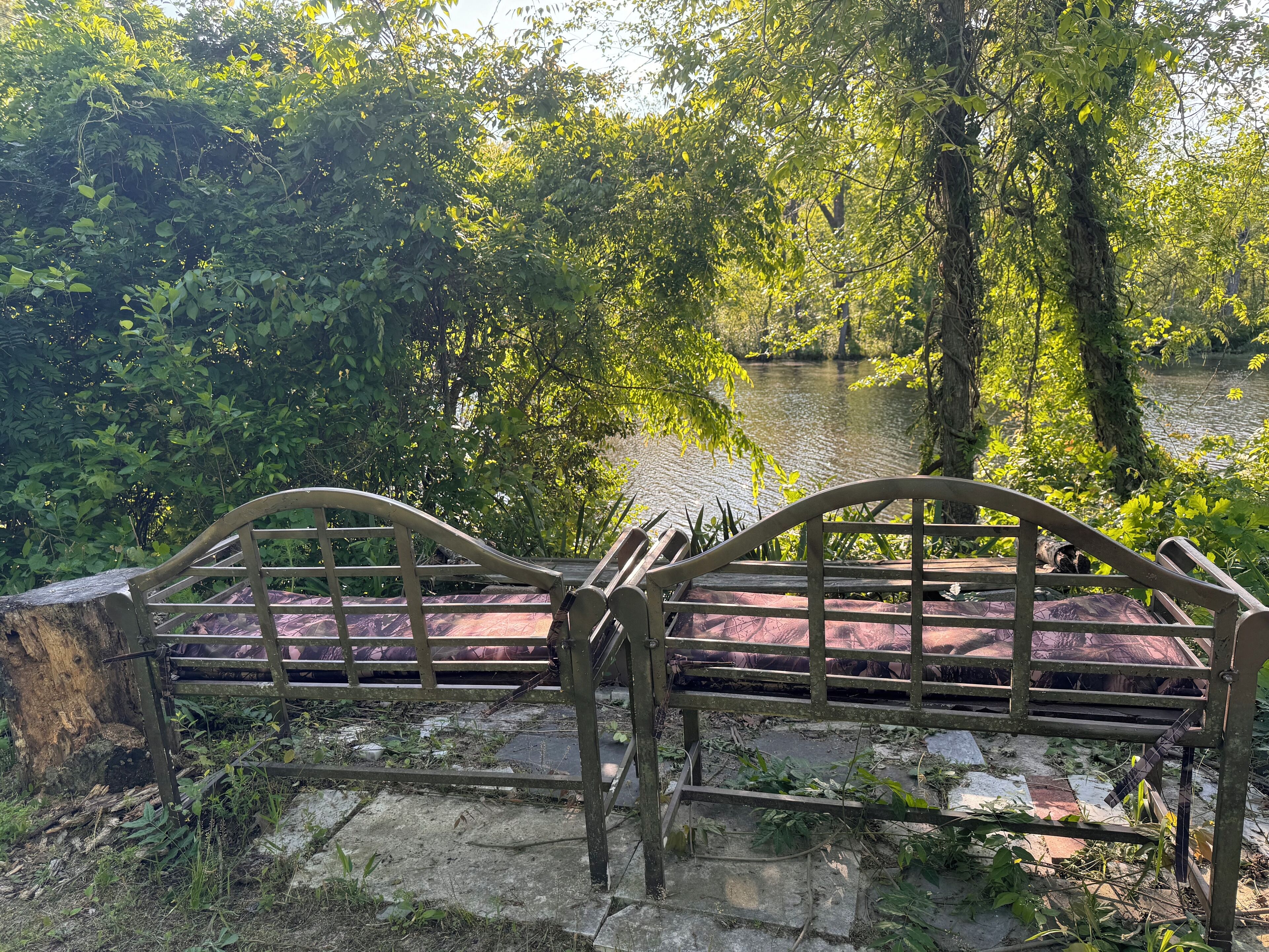 A bench overlooking a river, surrounded by dense greenery.