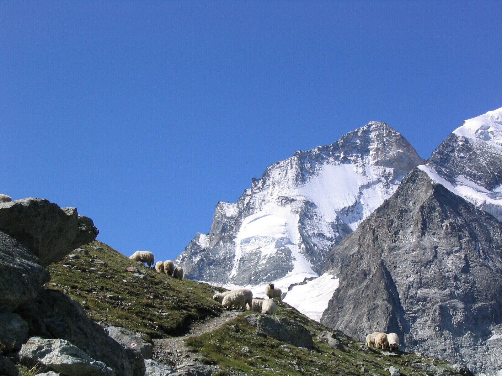 A mountainous landscape with a herd of sheep grazing on a grassy slope.