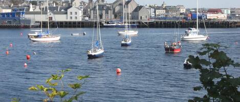 A harbor with multiple sailboats and a town in the background.