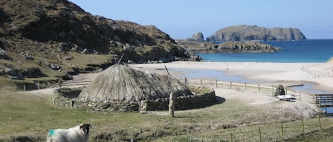Una spiaggia nelle vicinanze