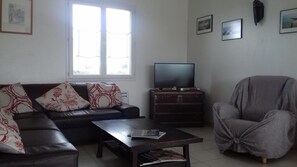 Televisión, chimenea, videojuegos y reproductor de DVD 