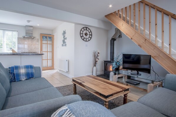 TV connectée, cheminée, lecteur de DVD