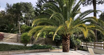 Villa am Golfplatz von Seignosse, beheizter Pool, 2 Terrassen: Golf & Pool