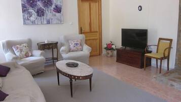 TV, fireplace, books