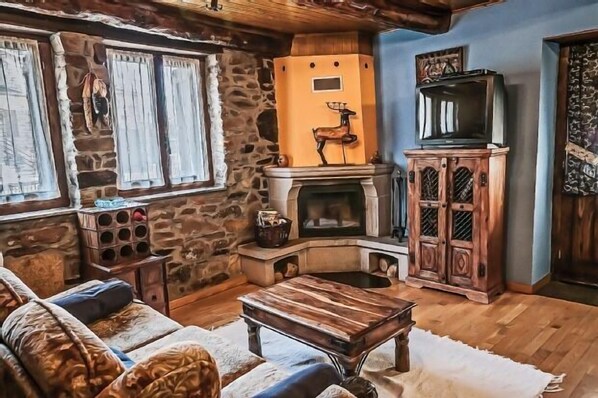 TV, fireplace, DVD player, books