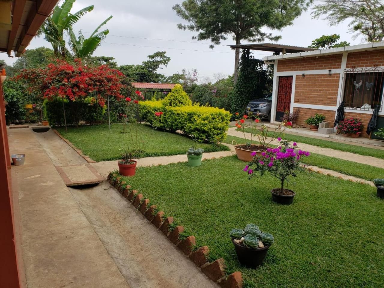 Un jardín cuidado con diversas plantas en macetas y césped, un edificio de ladrillo con una puerta roja, y un coche aparcado en la entrada.