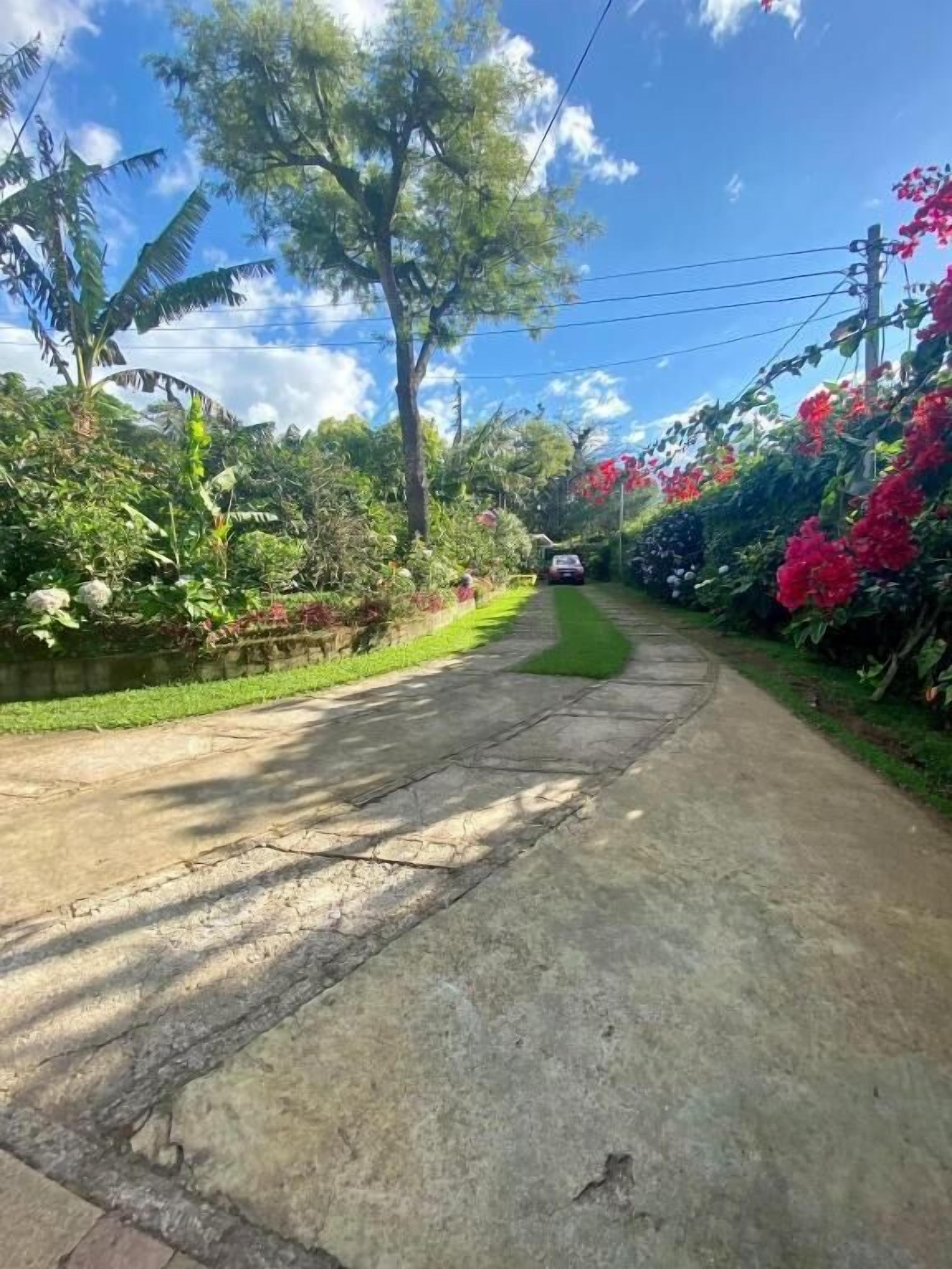 A paved pathway flanked by lush greenery and flowering plants.