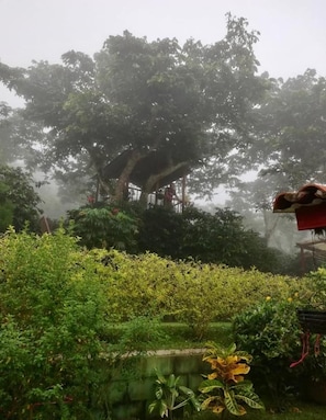 A garden with a variety of plants and a large tree. - Villas Castillo de Ensueño (Concepcion de Ataco)