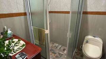 A bathroom with a glass-enclosed shower, a toilet, and a sink with a mirror.