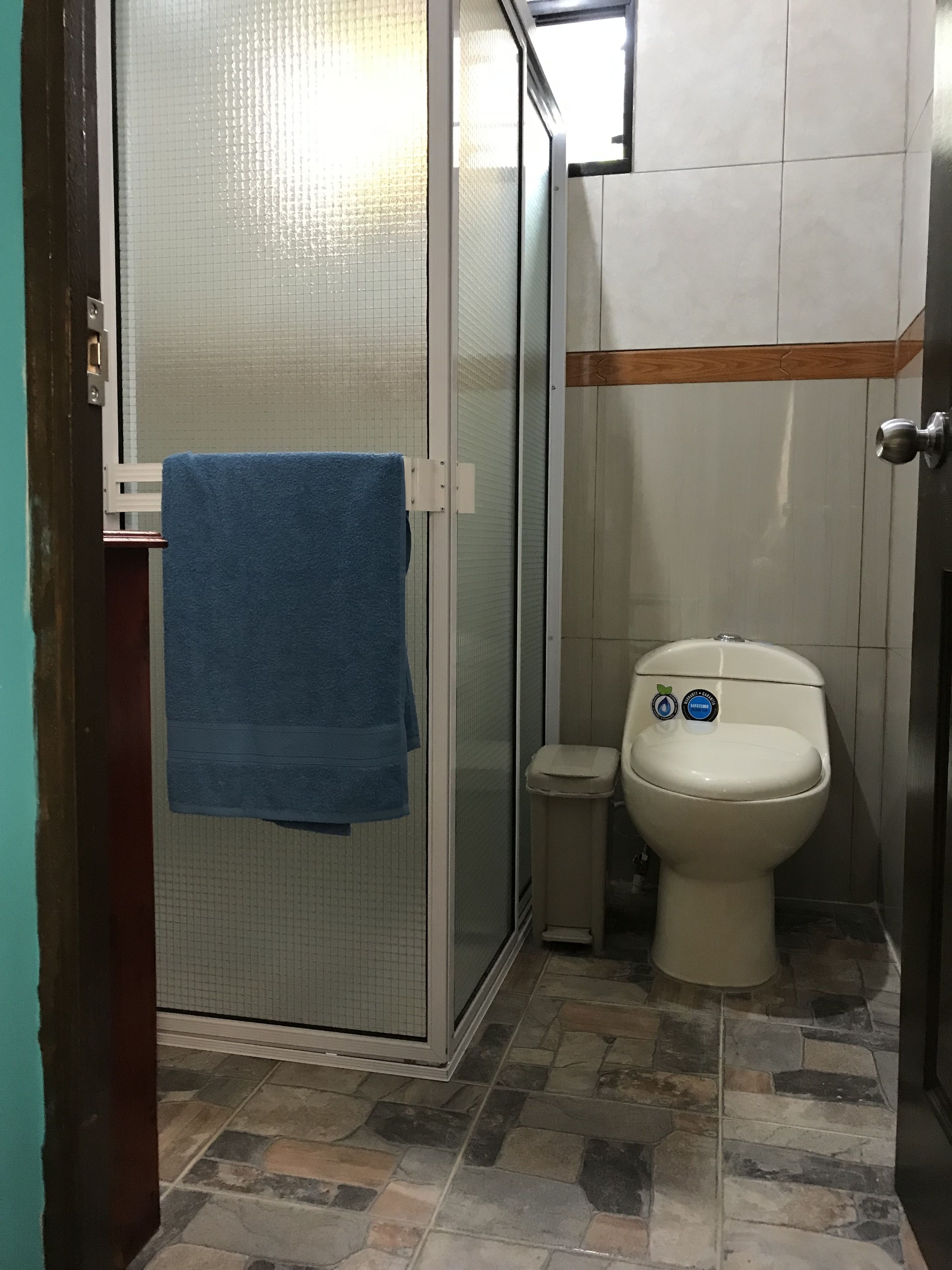 A bathroom with a glass shower enclosure, a toilet, and a blue towel hanging on the door.