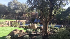 Un jardín ajardinado con un gran árbol, rocas y una piscina.