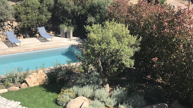 Zona de piscina con sillas de descanso, rodeada de vegetación y vista al océano.