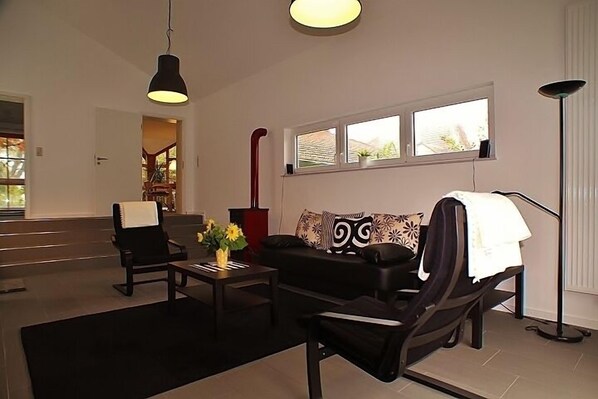 Télévision, cheminée, lecteur de DVD, livres