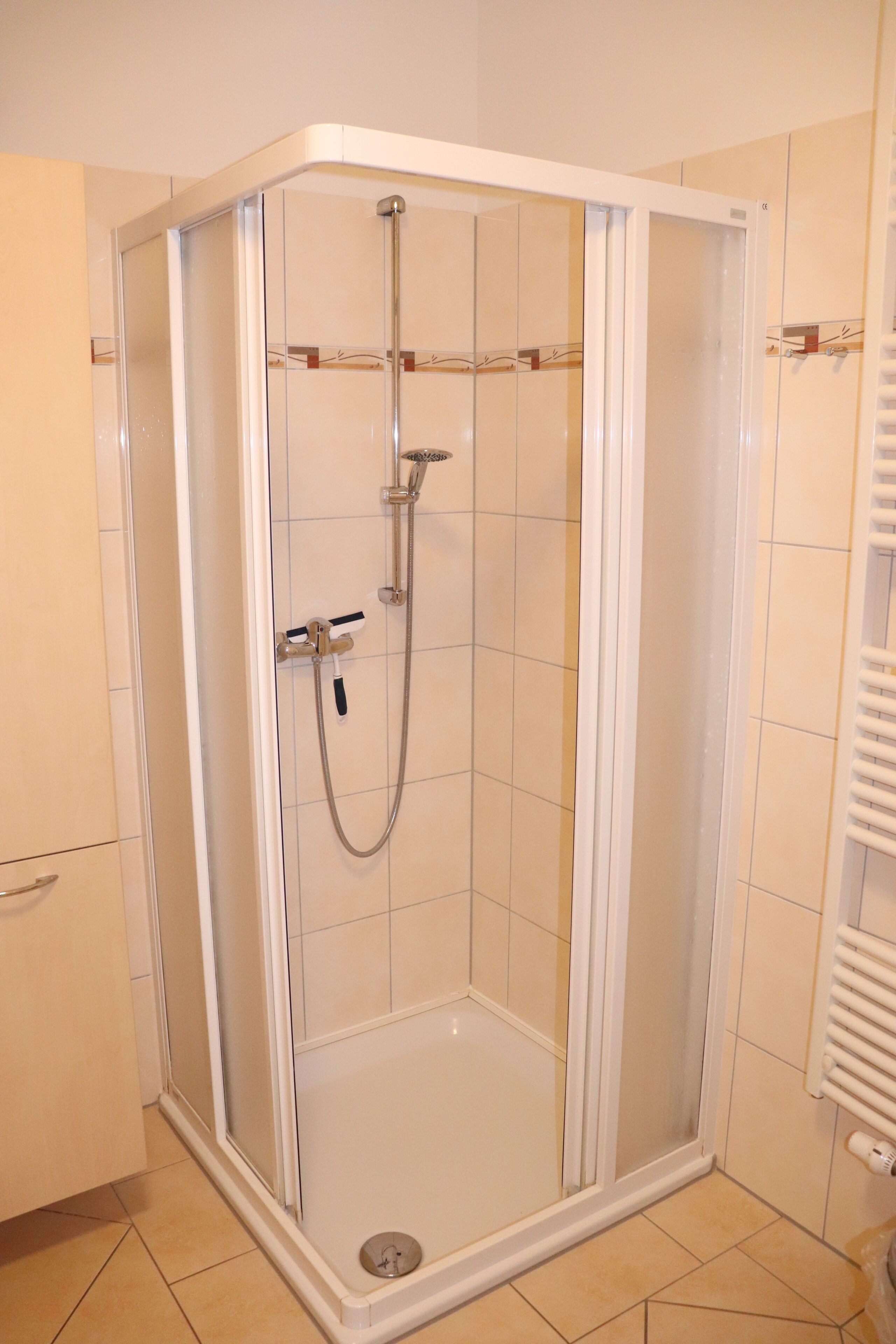 A corner shower with a glass door, a handheld showerhead, and a wall-mounted towel rack.